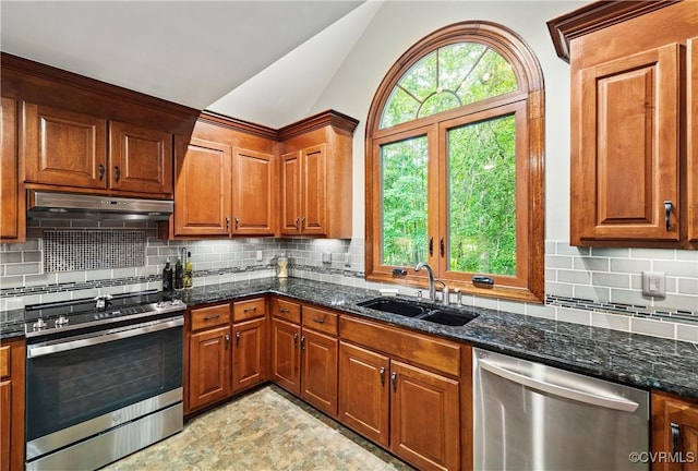 10910 Lesser Scaup Lndg, Chesterfield, VA 23838 - kitchen featuring appliances with stainless steel finishes, under cabinet range hood, a sink, brown cabinets, and vaulted ceiling