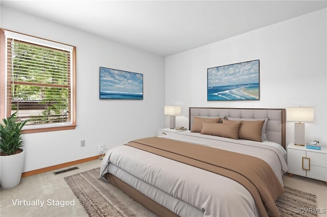 1013 Mill Forest Dr, Midlothian, VA 23113 - bedroom with carpet and baseboards