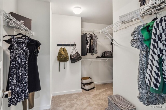 18736 Palisades Cove Trl, Moseley, VA 23120 - spacious closet featuring carpet