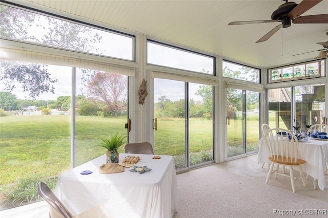 60 Edwards Landing Rd, Gwynn, VA 23066 - sunroom / solarium with healthy amount of natural light, a ceiling fan, a wall of windows, and carpet floors