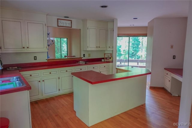 kitchen with light wood finished floors, a center island, and a sink