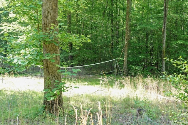 view of woods