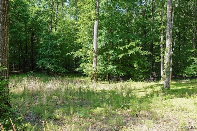 view of tree filled area