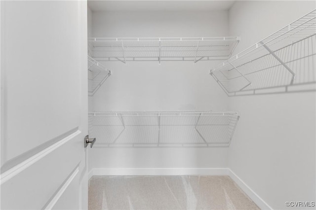 3800 Maze Runner Dr Unit 206, Midlothian, VA 23112 - view of walk in closet