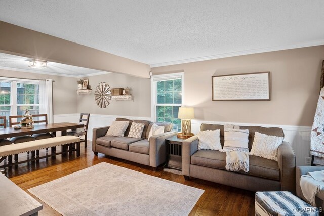 3190 Magnolia Woods Ter, New Kent, VA 23141 - living area with crown molding, a wainscoted wall, wood finished floors, and a textured ceiling