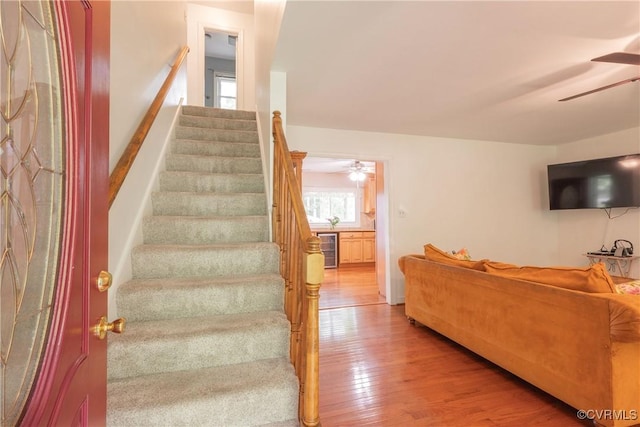 stairs featuring a ceiling fan, wine cooler, and wood finished floors