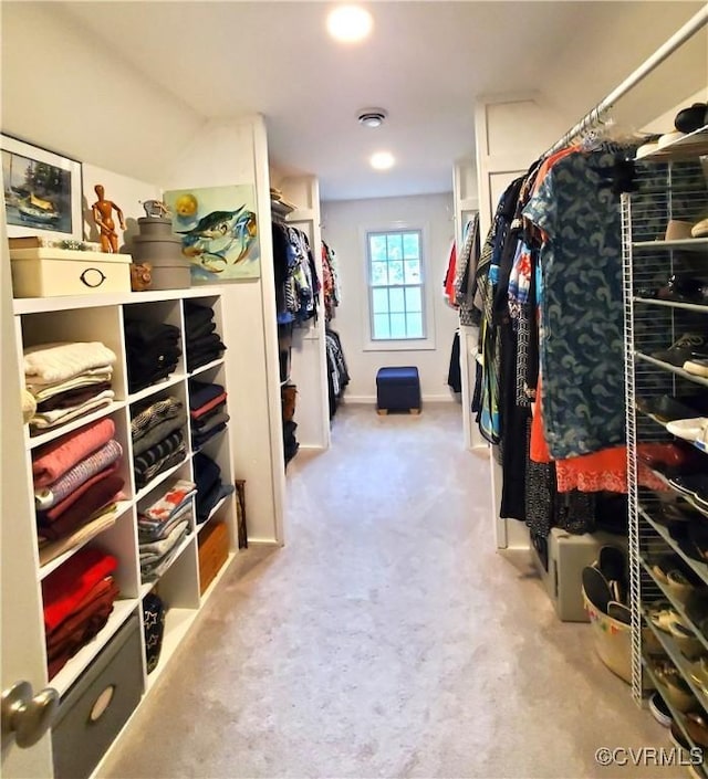spacious closet featuring carpet flooring