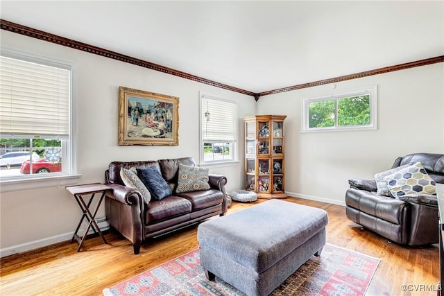 9301 Carlway Ct, Henrico, VA 23228 - living room with light wood finished floors, baseboards, and ornamental molding
