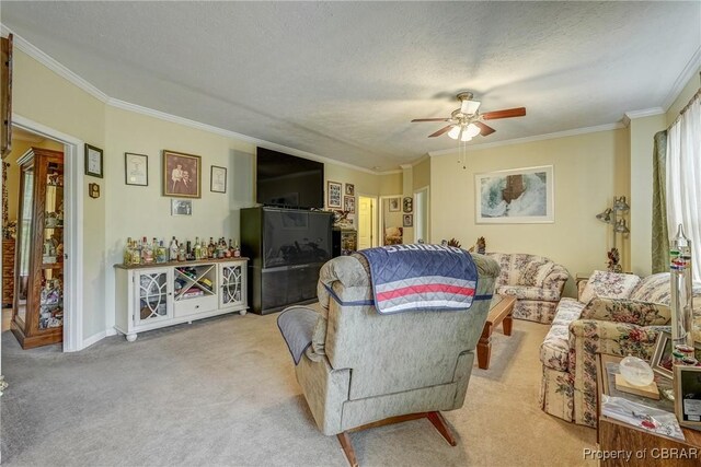 10402 Freewelcome Ln, Gloucester, VA 23050 - living area featuring crown molding, a ceiling fan, carpet flooring, a textured ceiling, and baseboards