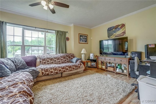 10402 Freewelcome Ln, Gloucester, VA 23050 - living room featuring wood finished floors, ornamental molding, a textured ceiling, and ceiling fan