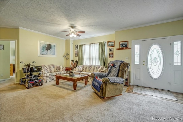 10402 Freewelcome Ln, Gloucester, VA 23050 - carpeted living room featuring plenty of natural light, crown molding, ceiling fan, and a textured ceiling