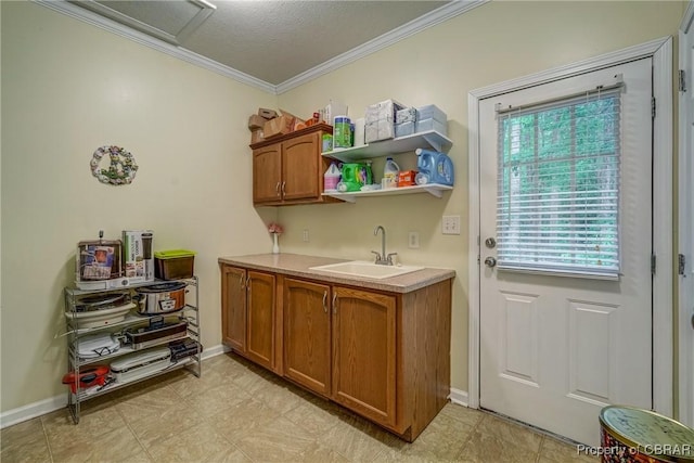 10402 Freewelcome Ln, Gloucester, VA 23050 - clothes washing area featuring ornamental molding, a sink, and baseboards