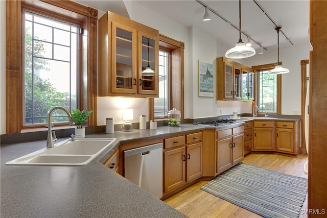 kitchen with stainless steel appliances, a sink, rail lighting, and light wood finished floors
