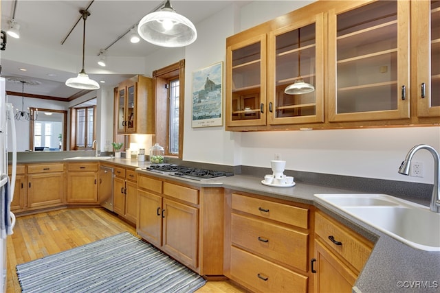 kitchen featuring a sink, light wood-style flooring, appliances with stainless steel finishes, and pendant lighting