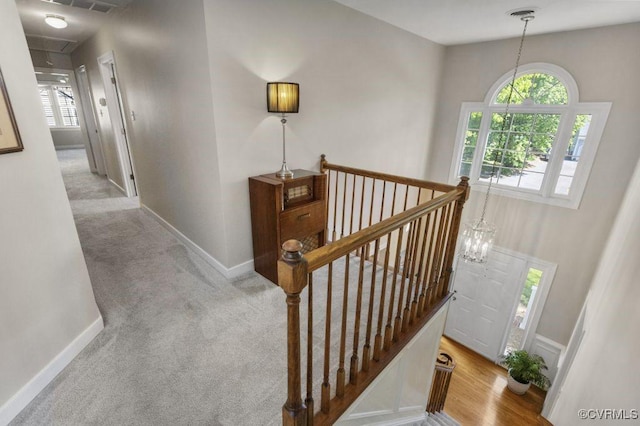 stairway featuring carpet, baseboards, and attic access