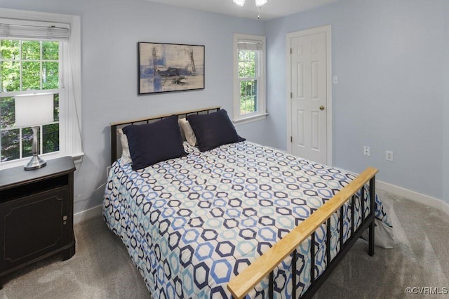 bedroom featuring multiple windows, carpet floors, and baseboards