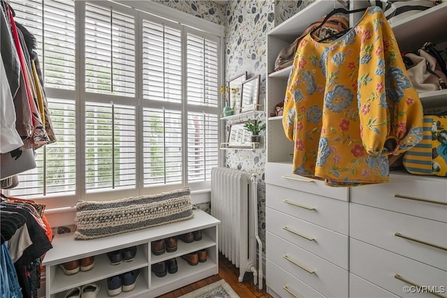 walk in closet featuring radiator and wood finished floors