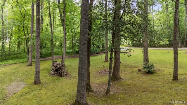 2465 W Deerpath Dr, Powhatan, VA 23139 - view of green lawn