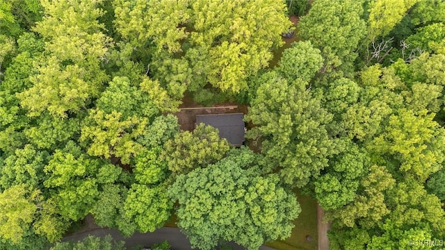 2465 W Deerpath Dr, Powhatan, VA 23139 - aerial overview of property's location