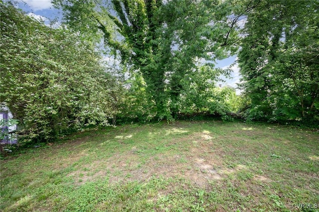 25 Cherry St, Petersburg, VA 23803 - view of yard