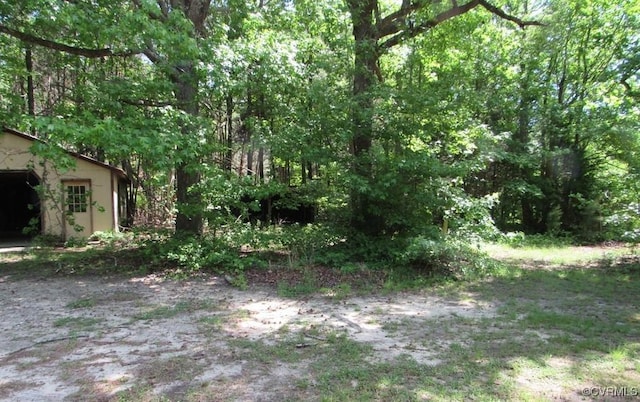 27701 W Prince Edward Hwy, Burkeville, VA 23922 - view of yard with an outbuilding