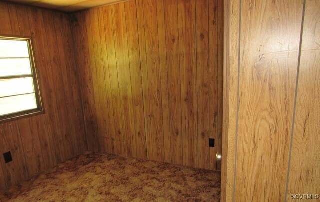 27701 W Prince Edward Hwy, Burkeville, VA 23922 - carpeted empty room featuring wooden walls