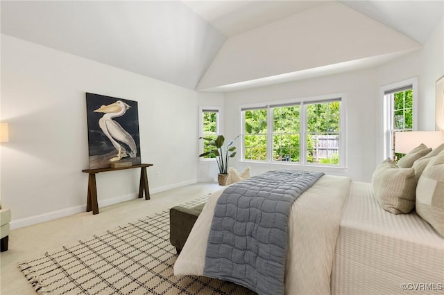 16412 Ravenchase Way, Moseley, VA 23120 - bedroom featuring lofted ceiling and light colored carpet