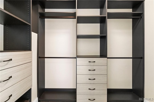 16412 Ravenchase Way, Moseley, VA 23120 - view of closet