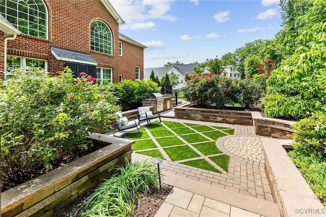 16412 Ravenchase Way, Moseley, VA 23120 - view of green lawn with area for grilling