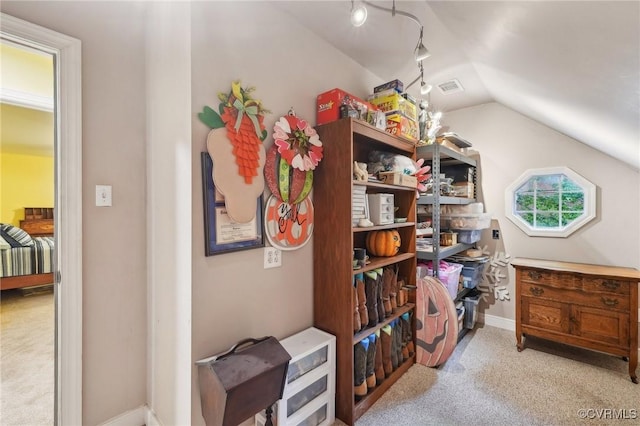 9226 Shelton Pointe Dr, Mechanicsville, VA 23116 - view of storage