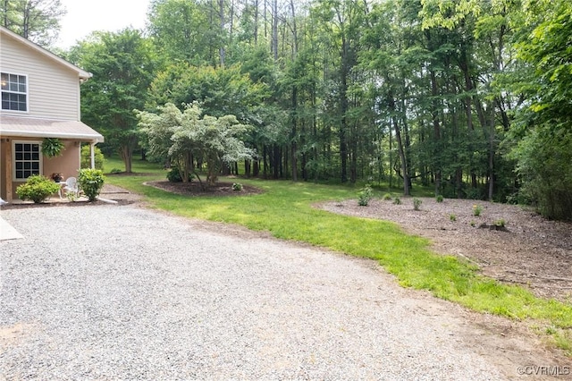 12727 Lodore Rd, Amelia Courthouse, VA 23002 - view of yard