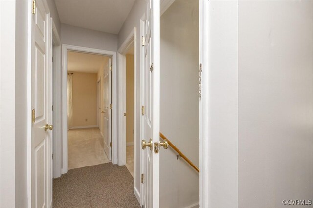 12727 Lodore Rd, Amelia Courthouse, VA 23002 - corridor with light colored carpet