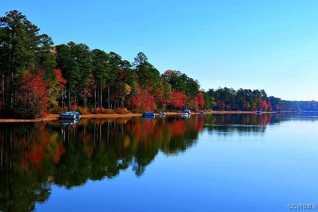 water view featuring a forest