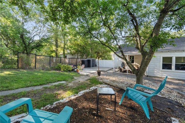 view of yard with a patio, a storage unit, and an outbuilding