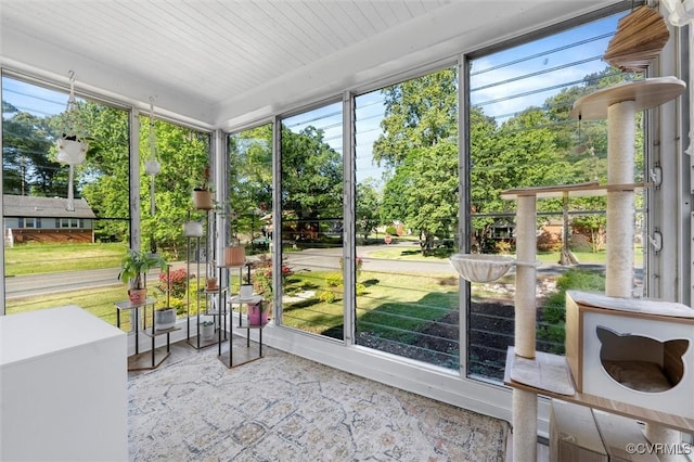sunroom / solarium with healthy amount of natural light
