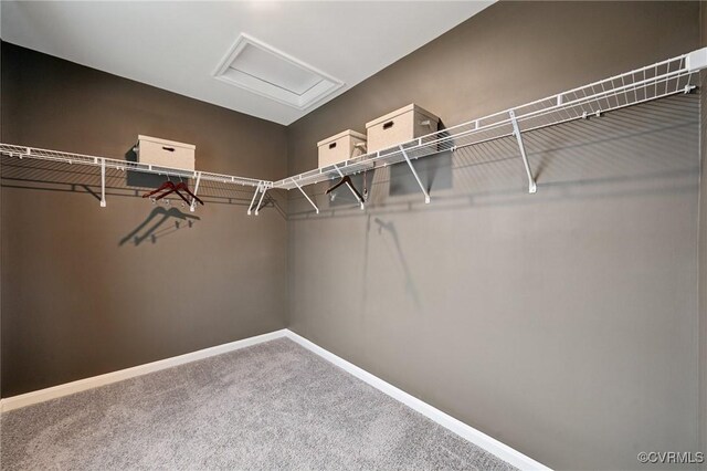 6000 Banyan Ln, Chesterfield, VA 23234 - walk in closet with attic access and carpet floors