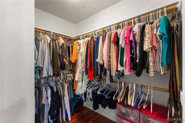 spacious closet with wood finished floors