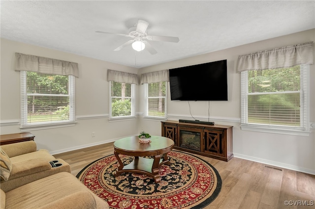 9865 Knobs Hill Ln, Amelia, VA 23002 - living room with wood finished floors and a ceiling fan