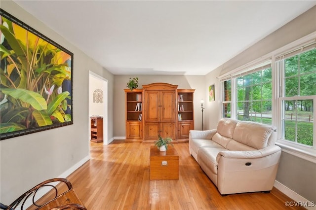 living area with baseboards and light wood-style floors