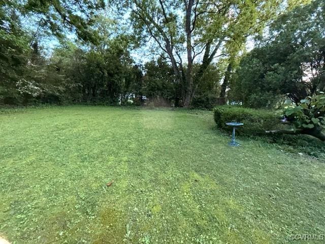111 Jefferson St, Emporia, VA 23847 - view of grassy yard