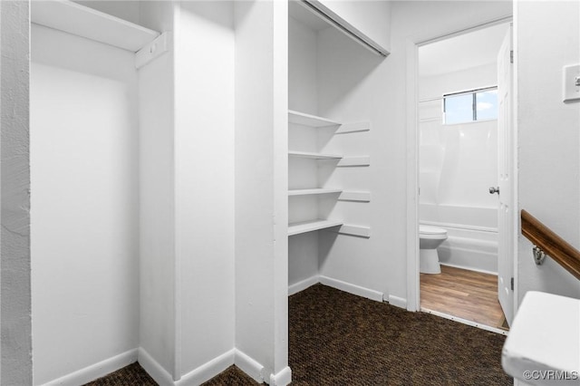 306 Cedarwood Rd, Henrico, VA 23075 - spacious closet featuring carpet floors
