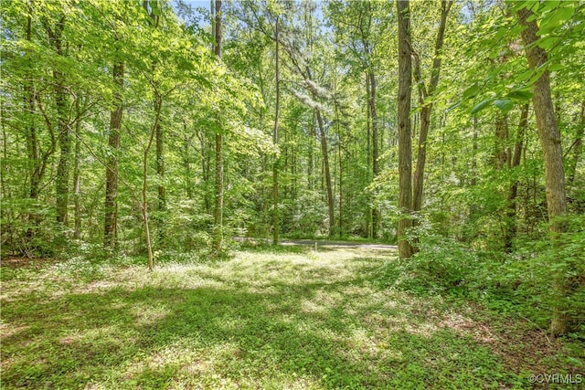 view of tree filled area