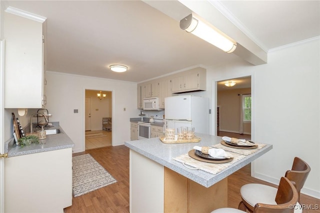 9830 Knobs Hill Ln, Amelia Courthouse, VA 23002 - kitchen with white appliances, a sink, light countertops, light wood-type flooring, and ornamental molding