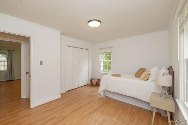 9830 Knobs Hill Ln, Amelia Courthouse, VA 23002 - bedroom featuring ornamental molding, light wood-type flooring, a closet, and baseboards