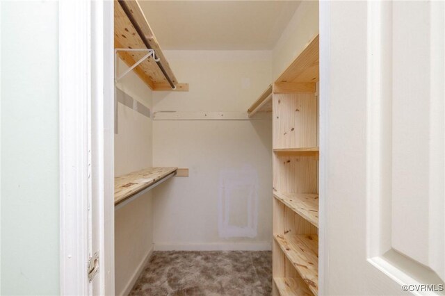 9830 Knobs Hill Ln, Amelia Courthouse, VA 23002 - walk in closet featuring carpet flooring