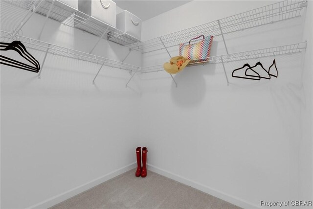 926 Old Saint Johns Rd, Irvington, VA 22480 - spacious closet featuring carpet flooring