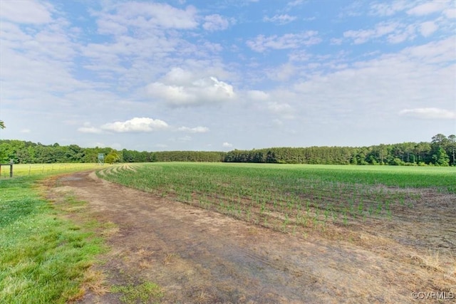 9615 E Quaker Rd, Disputanta, VA 23842 - view of dirt / gravel road featuring a rural view