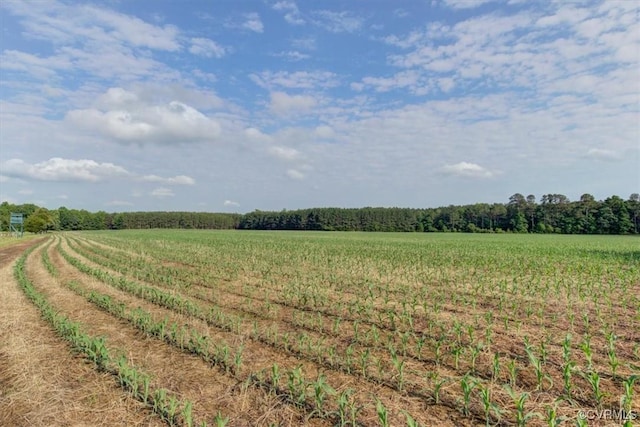 9615 E Quaker Rd, Disputanta, VA 23842 - view of nature with rural landscape and farmland