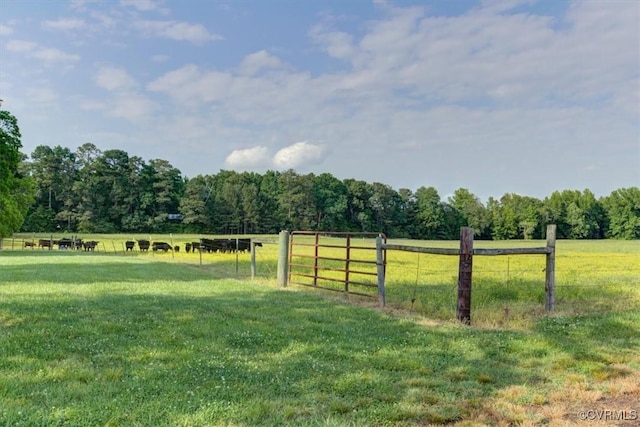 9615 E Quaker Rd, Disputanta, VA 23842 - view of yard with a rural view