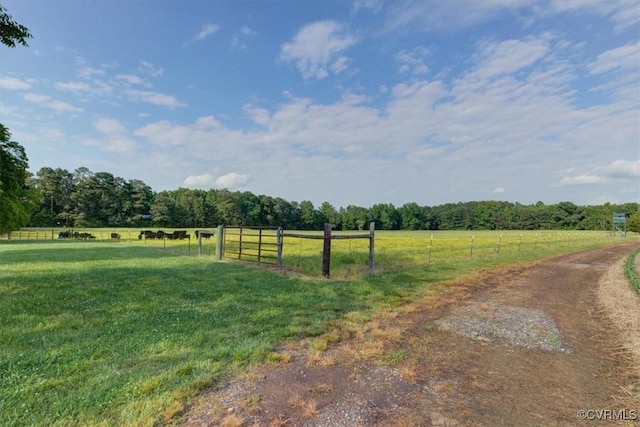 9615 E Quaker Rd, Disputanta, VA 23842 - view of road featuring a view of countryside